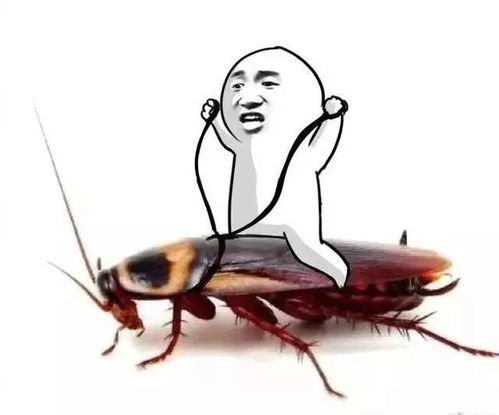 蟑螂可以直接踩死吗 怎么防止蟑螂爬到床上  第1张