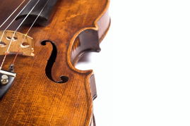 小提琴网官网 小提琴网官网首页  第3张