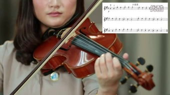 小提琴网官网 小提琴网官网首页