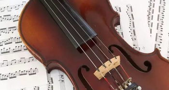小提琴网官网 小提琴网官网首页  第2张