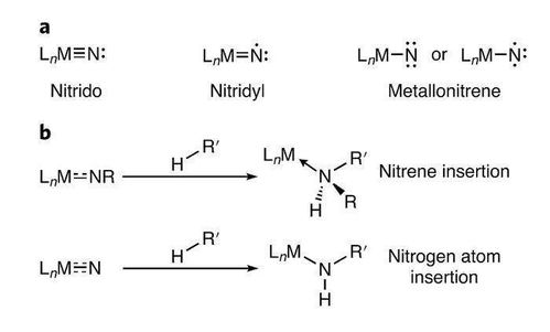 氮与氮气有区别吗 氮气和气的反应方程式  第1张