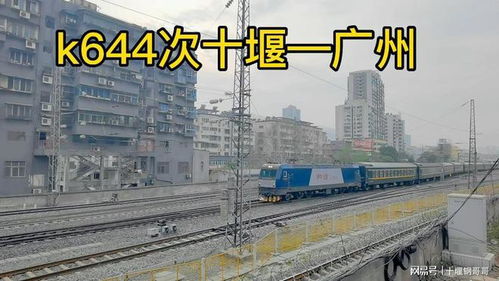 深圳火车站停运最新消息 深圳站停运车次  第3张