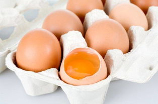 鸡蛋常温下可以放多少时间 鸡蛋常温下能放多少天  第1张